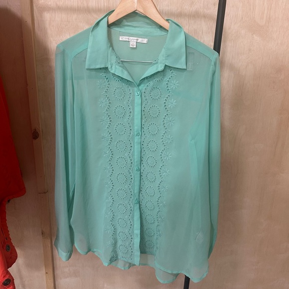 Sheer Green Blouse - Picture 1 of 4